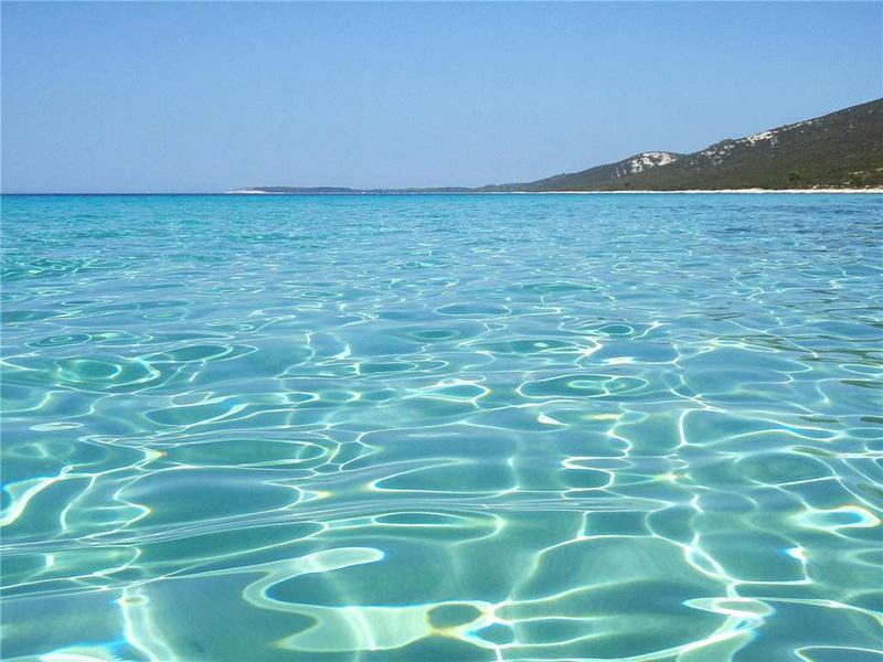 Apartments Sonja Murter Croatia Luaran gambar